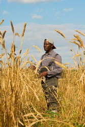 Similar image 22304678