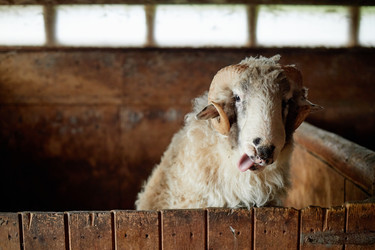 Similar image 22303127