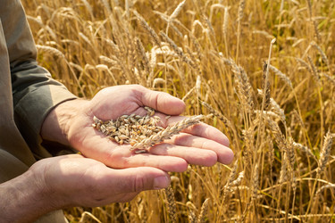 Similar image 22304619