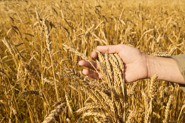 Similar image 22304616