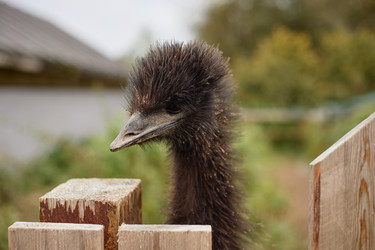 Similar image 22303175