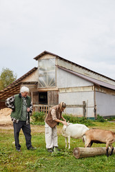 Similar image 22303137