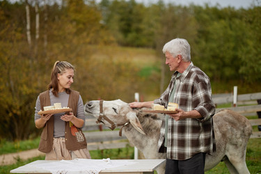 Similar image 22303182