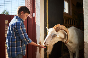 Similar image 22306447