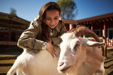 Similar image 22306469