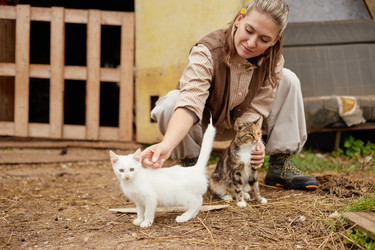 Similar image 22303171