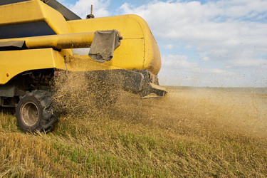 Similar image 22304606