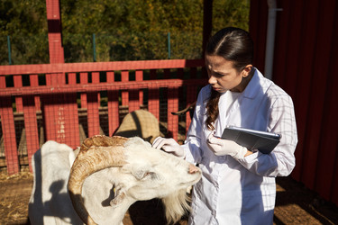 Similar image 22306460