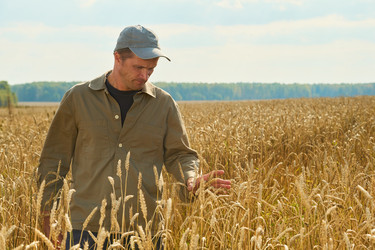 Similar image 22304613