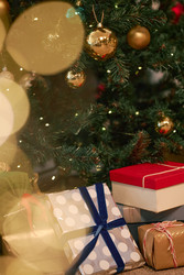 Similar image 22303234