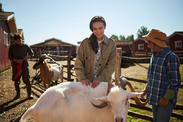 Similar image 22306465