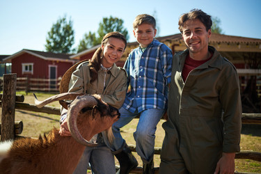 Similar image 22306475