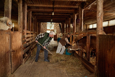 Similar image 22303205