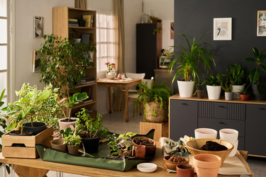 Similar image 22304488