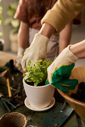 Similar image 22304502