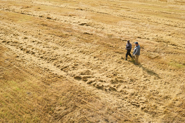 Similar image 22304746