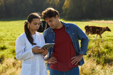 Similar image 22306476