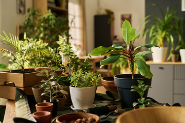 Similar image 22304550