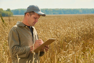 Similar image 22304611