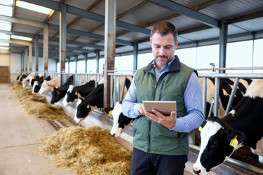 Similar image 22308107