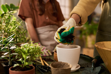 Similar image 22304492