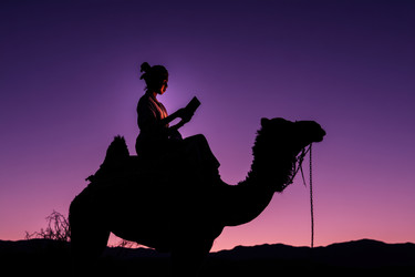 Similar image 22307493