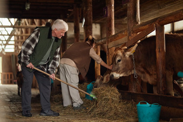 Similar image 22303204