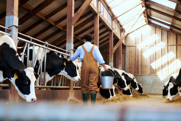 Similar image 22308192