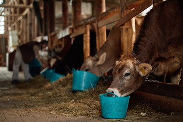 Similar image 22303195