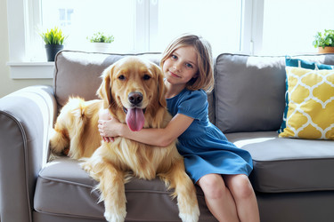 Similar image 22308186