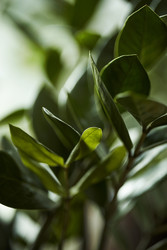 Similar image 22305968