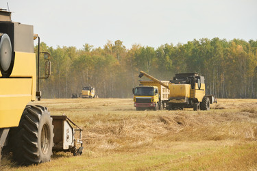 Similar image 22304610