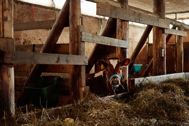 Similar image 22303121