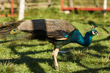 Similar image 22306424