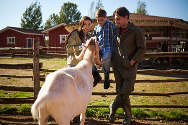 Similar image 22306473