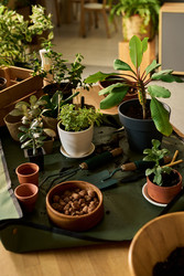 Similar image 22304552