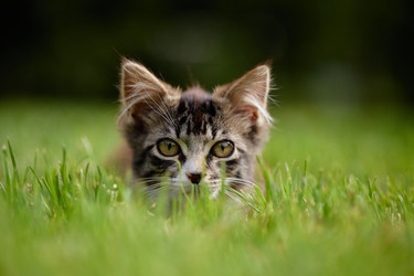 Similar image 22302903