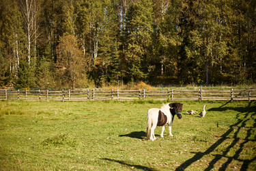 Similar image 22306503