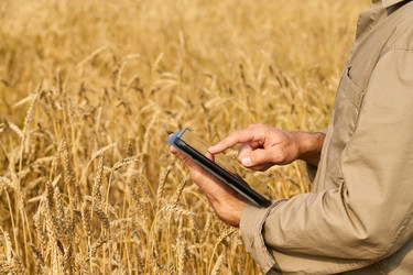 Similar image 22304618