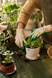 Similar image 22304506