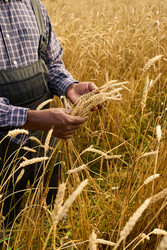 Similar image 22304646