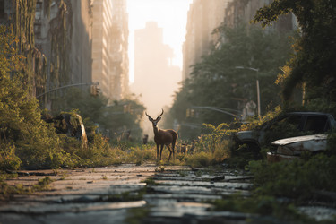 Similar image 22307740