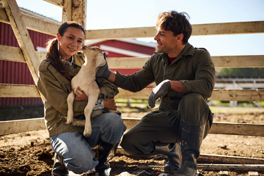 Similar image 22306496