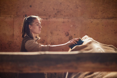 Similar image 22303201