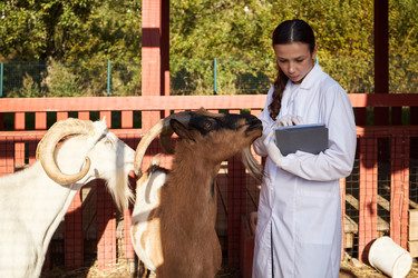 Similar image 22306464