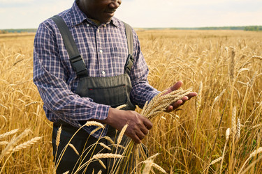 Similar image 22304638