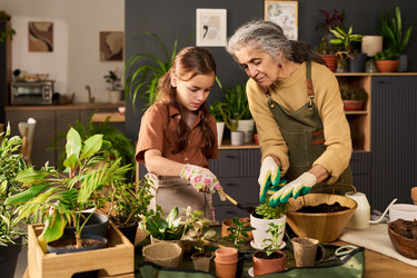 Similar image 22304500