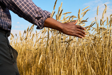 Similar image 22304698