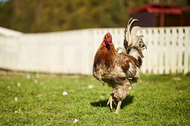 Similar image 22306504