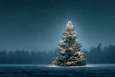 Similar image 22307278